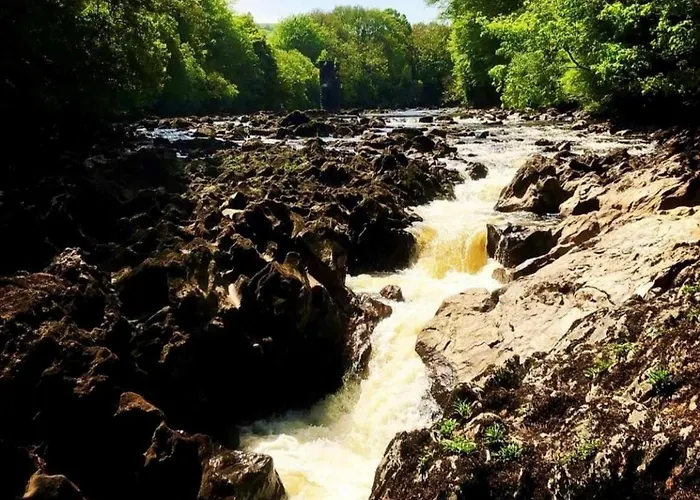 Hébergement de vacances Reelin Bar